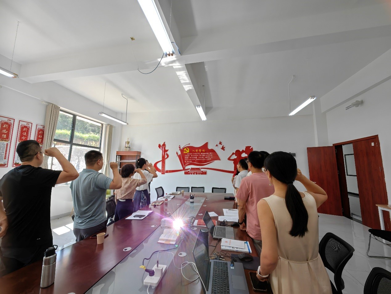 教师党支部开展“弘扬教育家精神 加强建设新时代高素质专业化教师队伍”主题党日-大数据学院